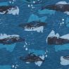 Prévente - Northern Whales - T-shirt bleu imprimé baleine